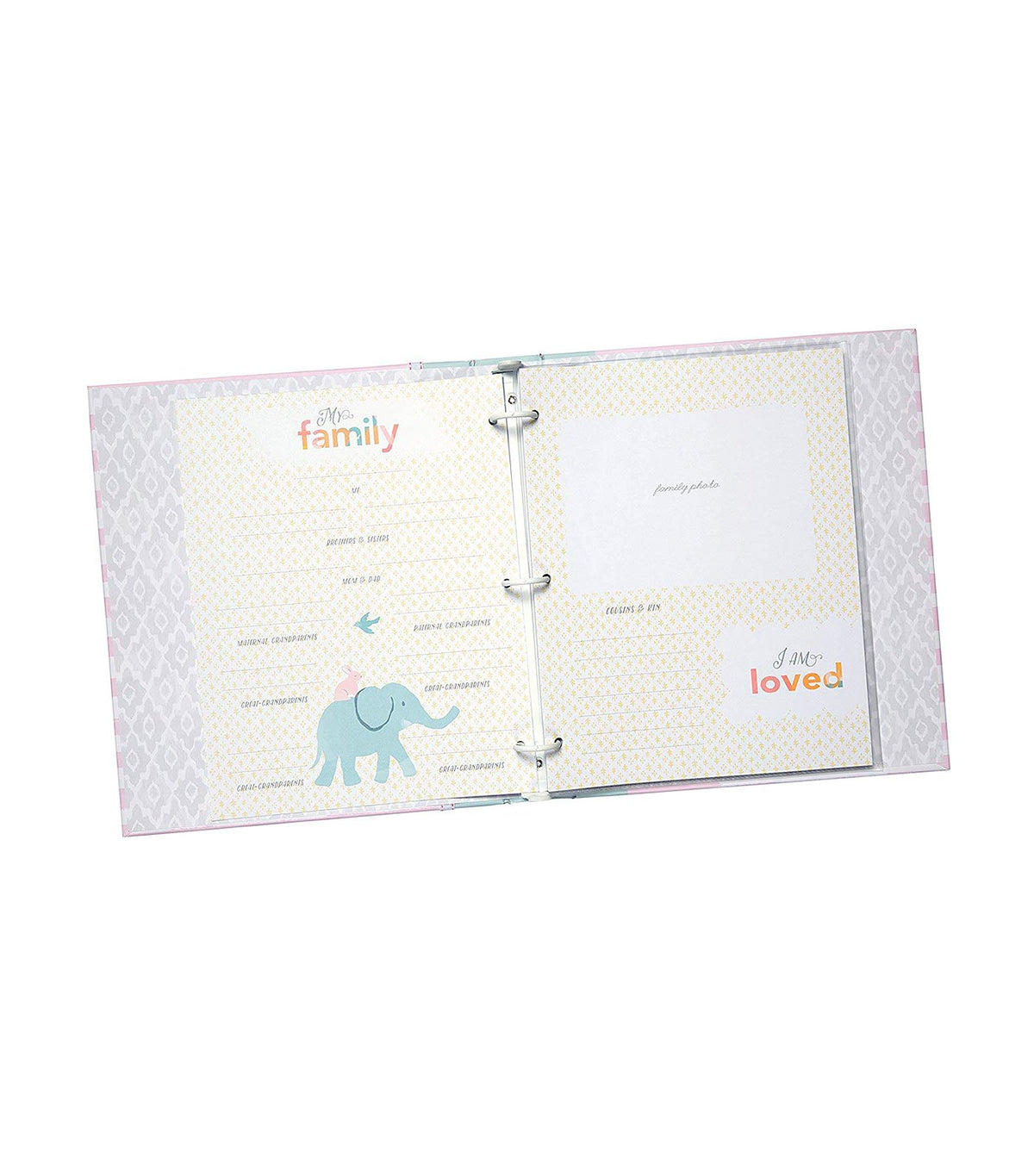 loose leaf memory book - darling baby girl