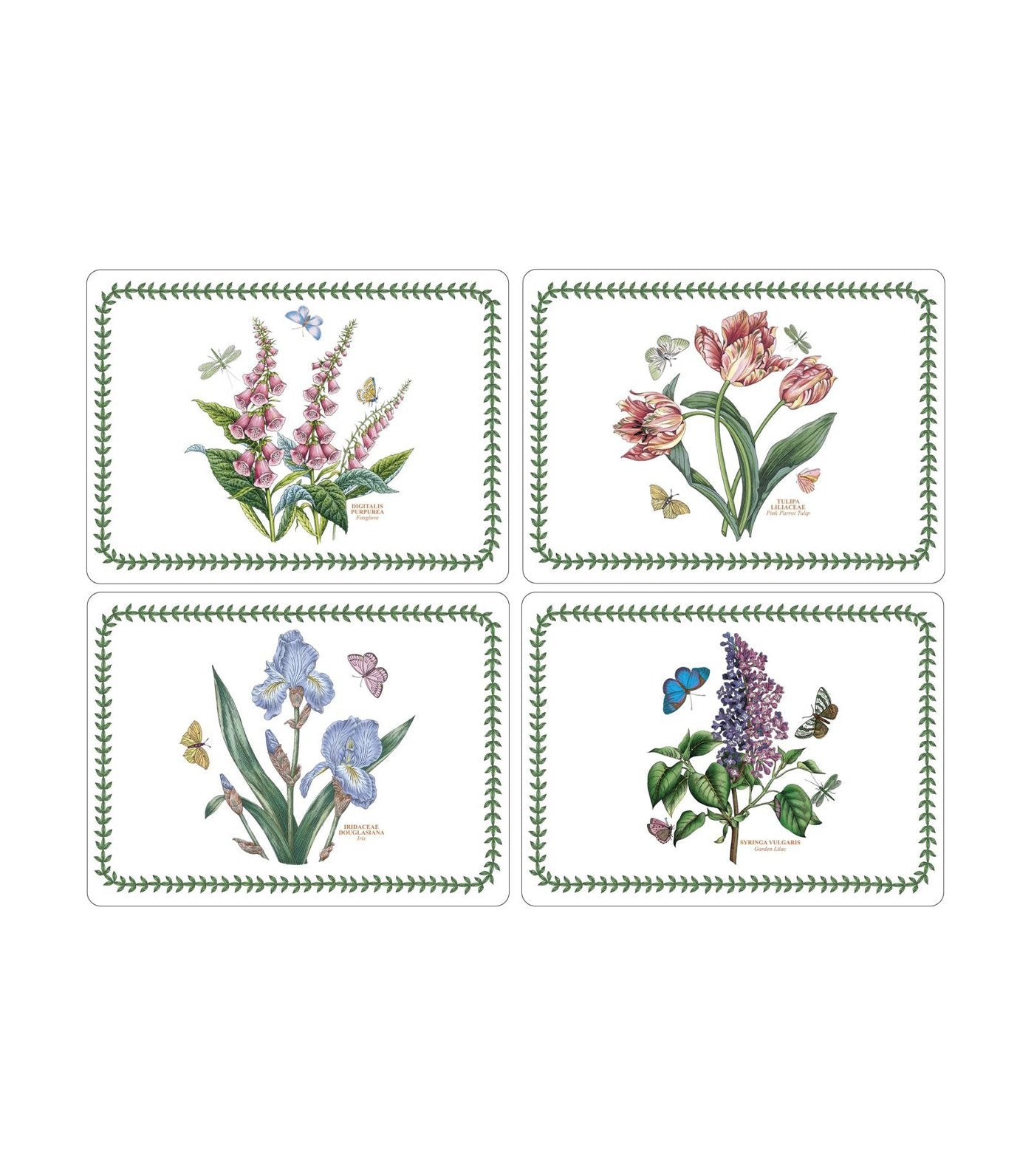 pimpernel botanic garden placemat set of 4