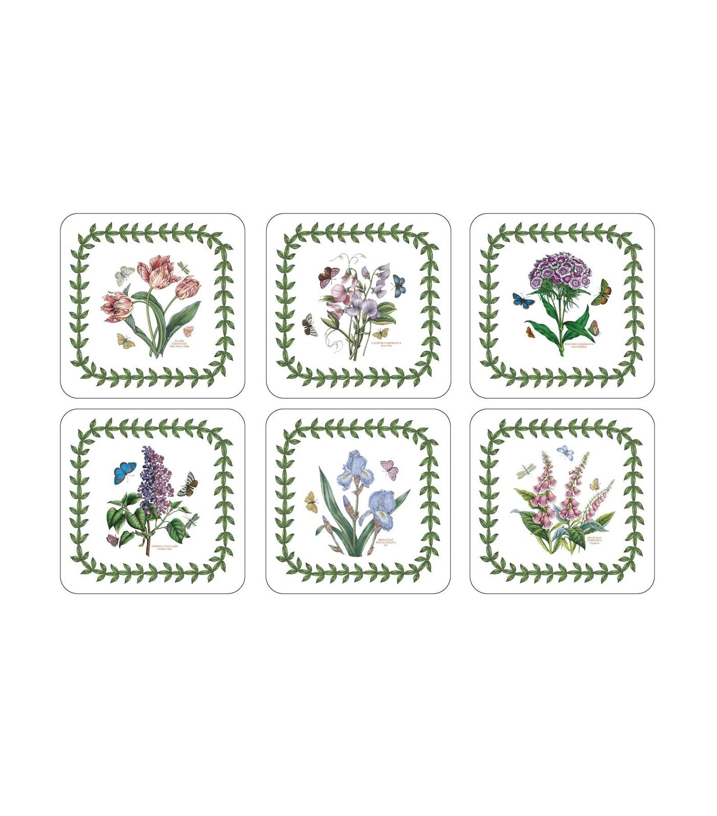 pimpernel botanic garden coasters set of 6
