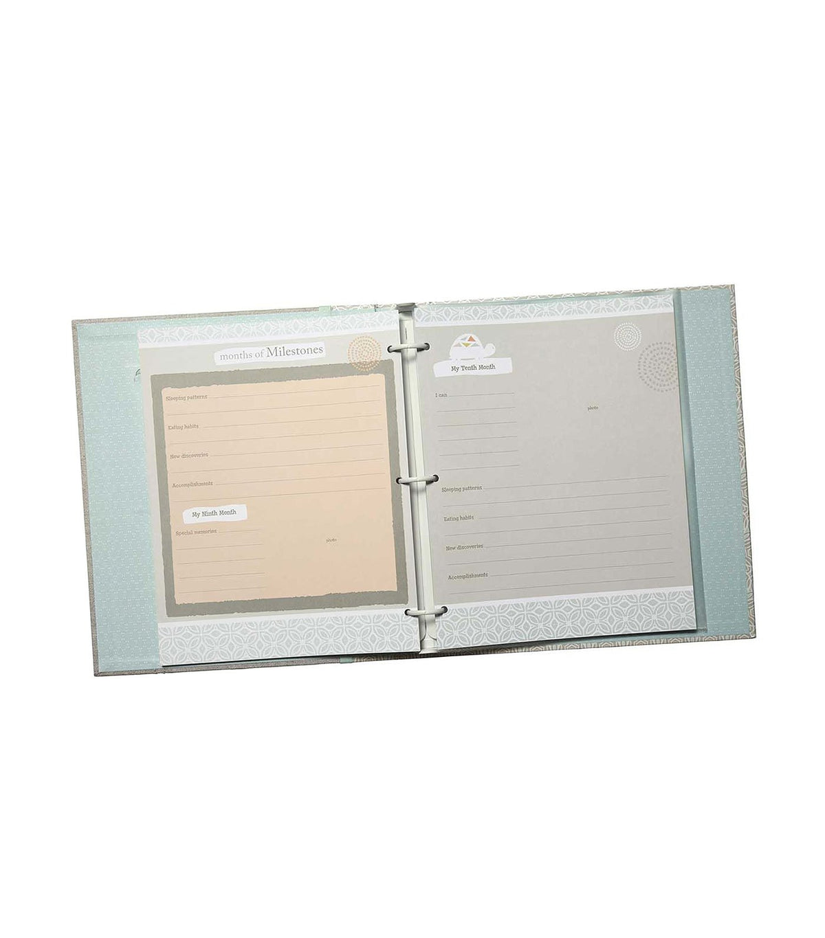 c.r. gibson loose leaf memory book - linen tree