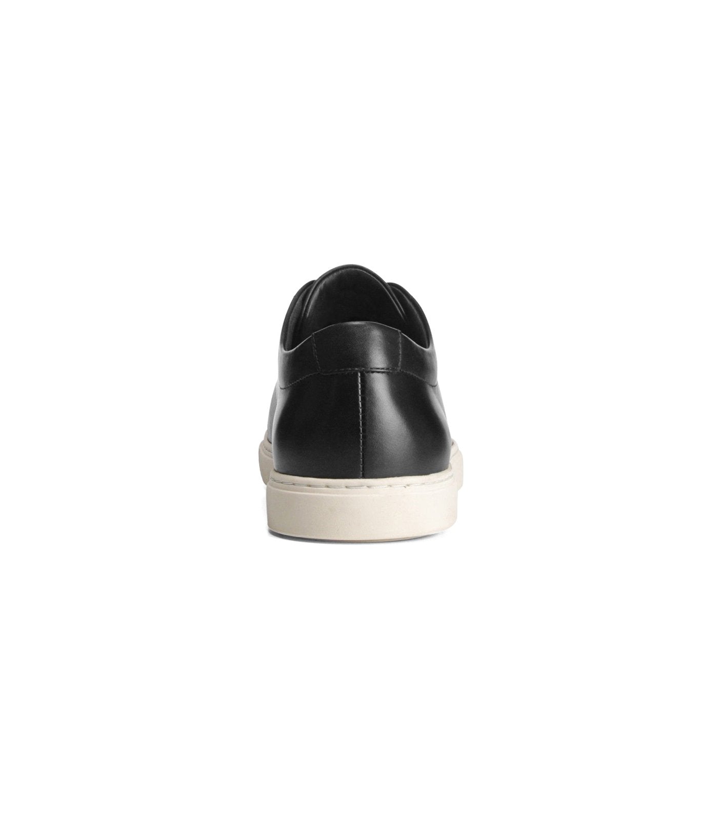allen edmonds canal court leather sneakers