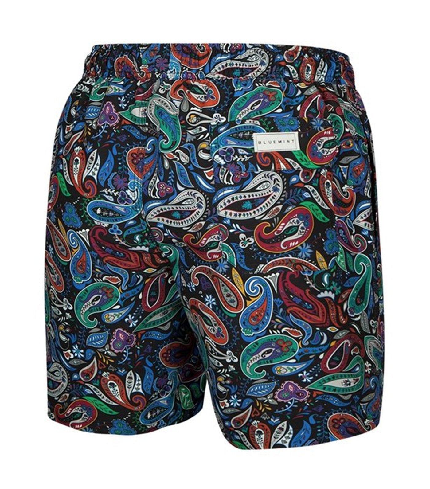 bluemint arthus swim shorts mipa print