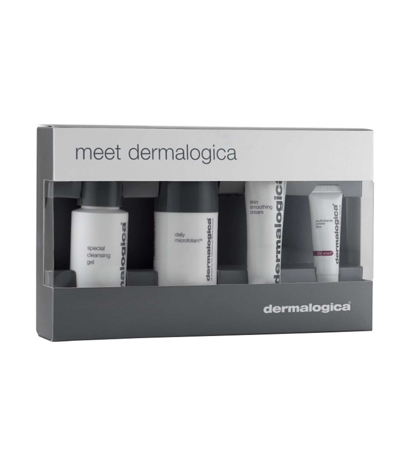 dermalogica meet dermalogica kit